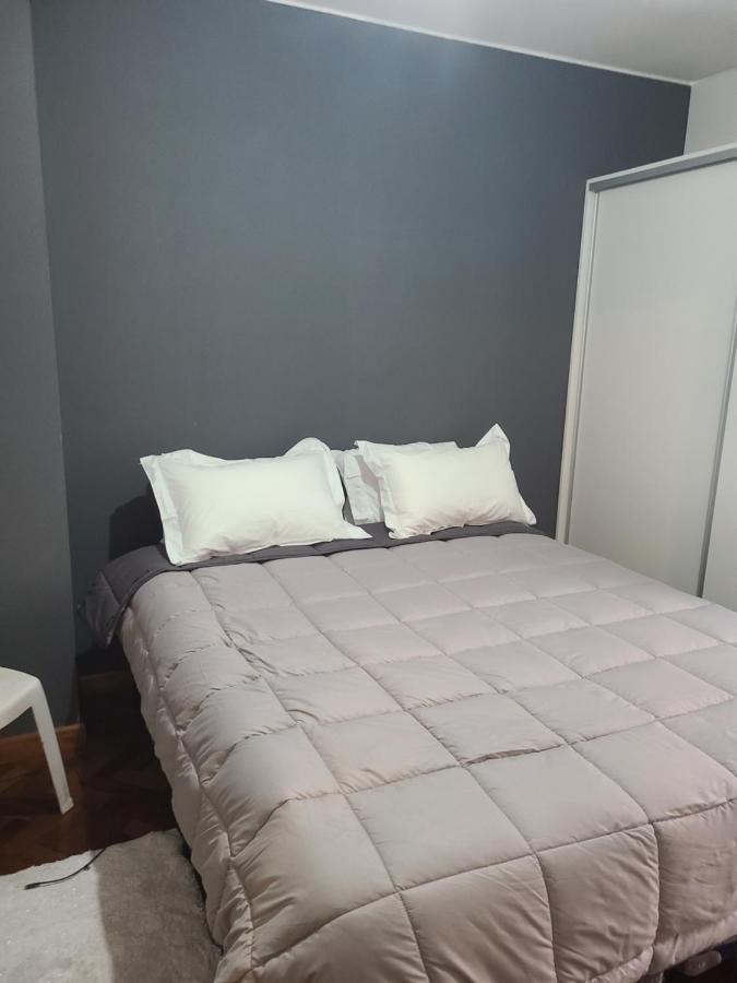 Departamento Centrico, Pasos Peatonal Daire Mendoza Dış mekan fotoğraf